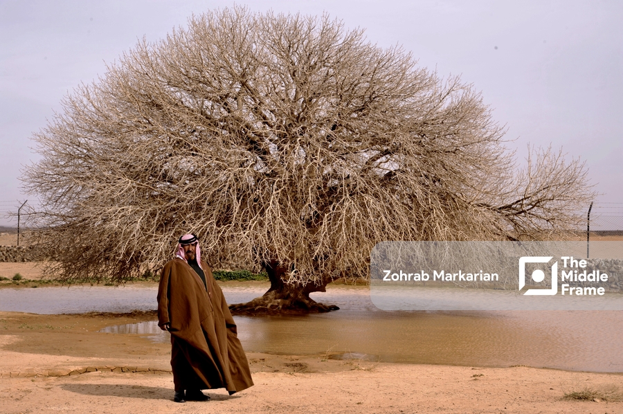 a man standing in front of a tree