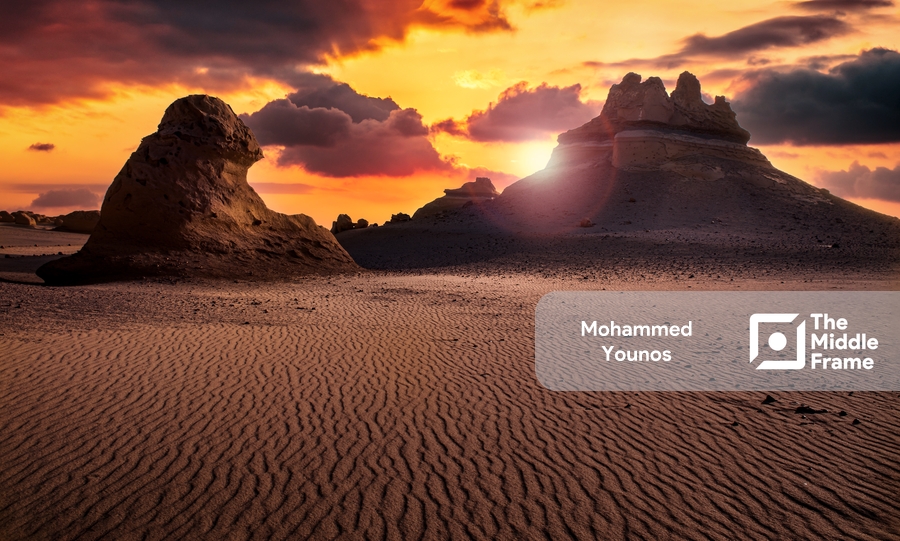 Wadi El Hitan Protected Area, Fayoum, Egypt.
