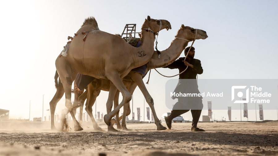 A Bedouin man leads a caravan of camels through a sandstorm in the Al Dhafra desert, UAE.