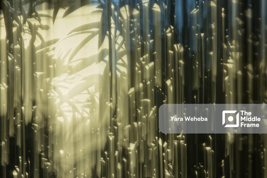 Illusion of the Bamboo Dance. • The Middle Frame • GenAI for Images ...