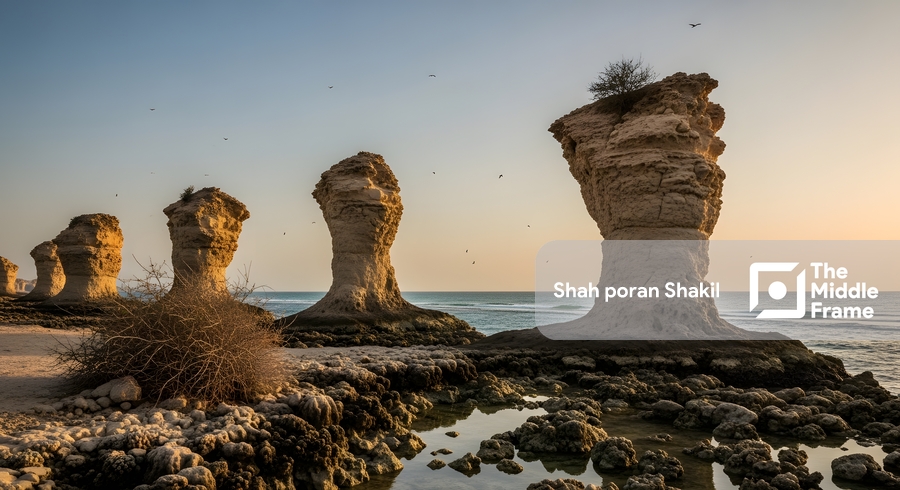 A rock formation in the desert, in the middle of the water.