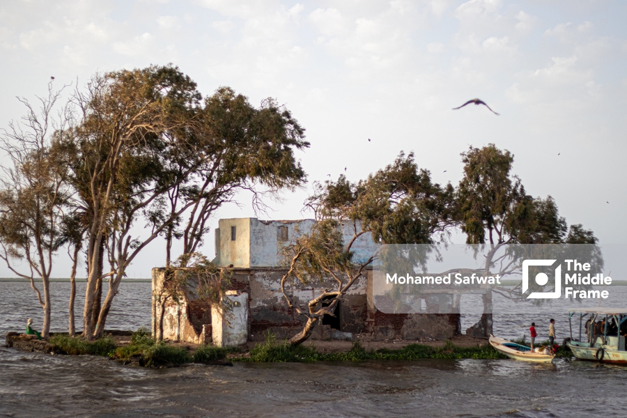 Shakhloba Island in Brullus lake Kafr El Sheikh-Egypt.