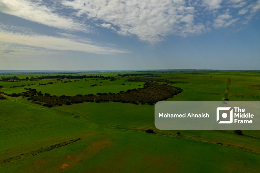 The nature in eastern Benghazi, Libya.