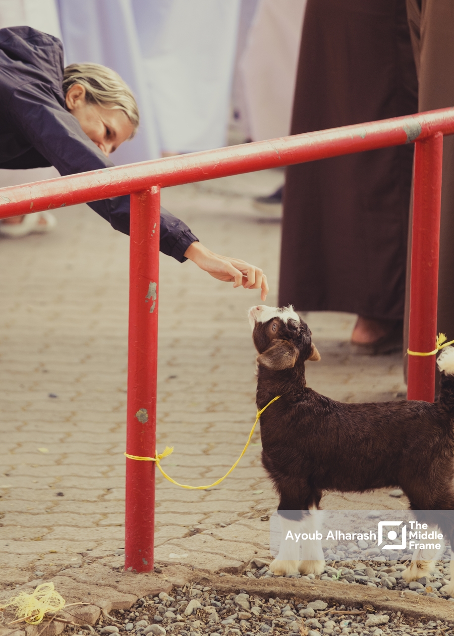 a small dog is being fed by a woman