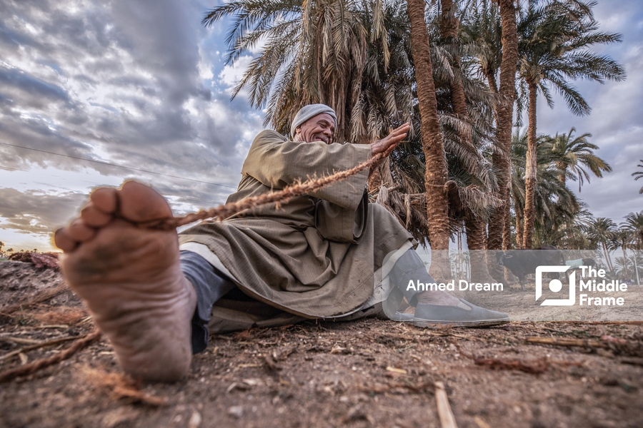 Rope making • The Middle Frame • Arab Stock Photos and Images