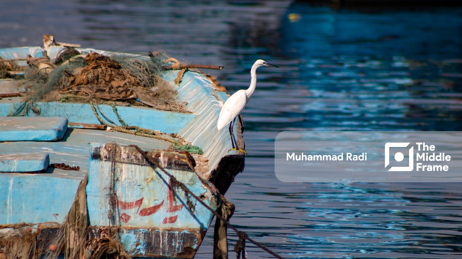 White Heron on Old Fishing Boat by the Water