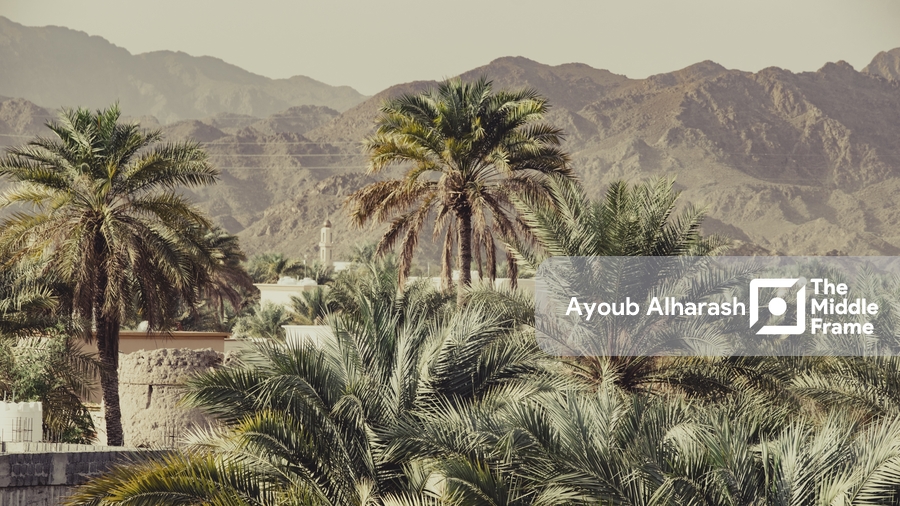 palm trees and mountains