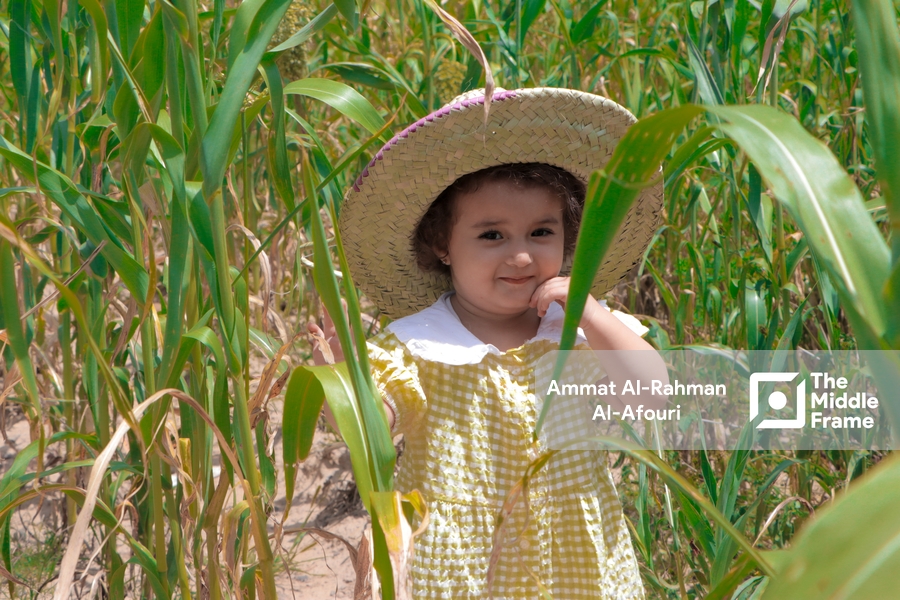 A little girl in a farmland field.