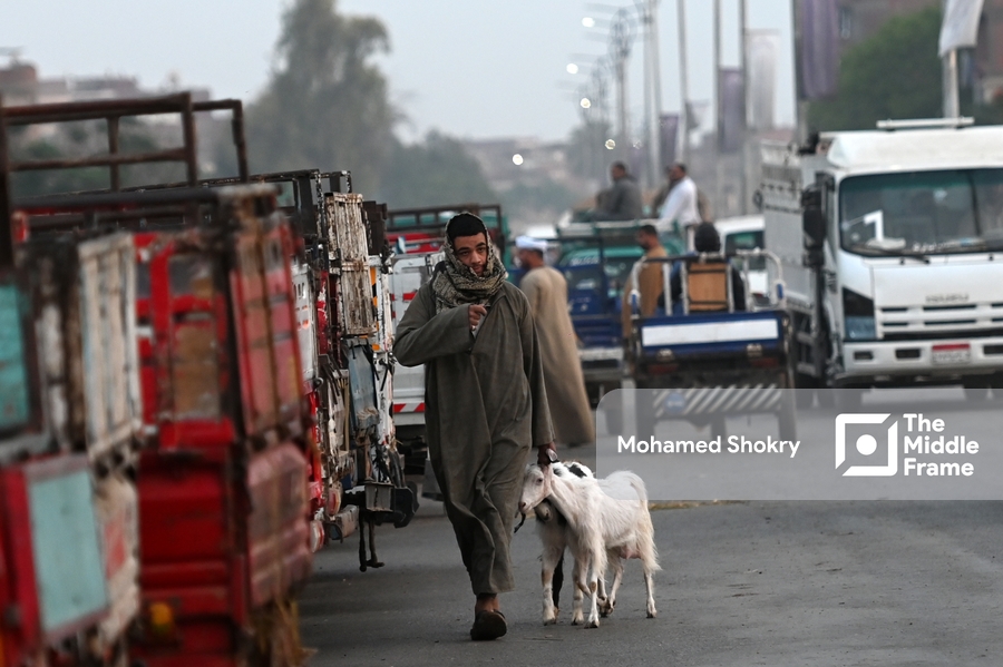 A man moves, holding a small goat in his hand.