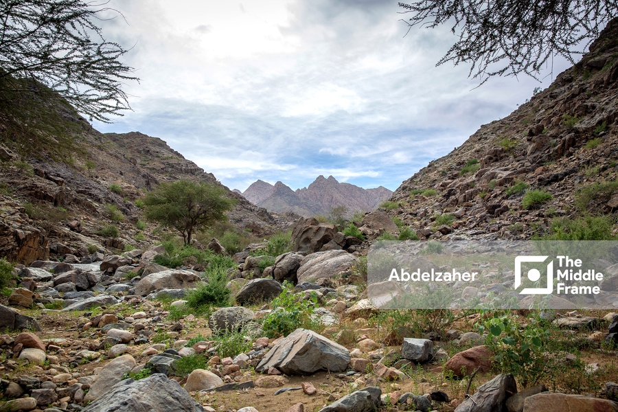 Halaib , Egypt • The Middle Frame • Arab Stock Photos and Images