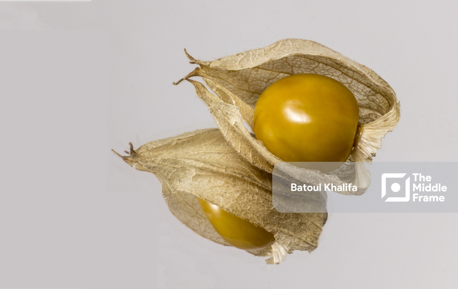 Egyptian Fruit Harankash.