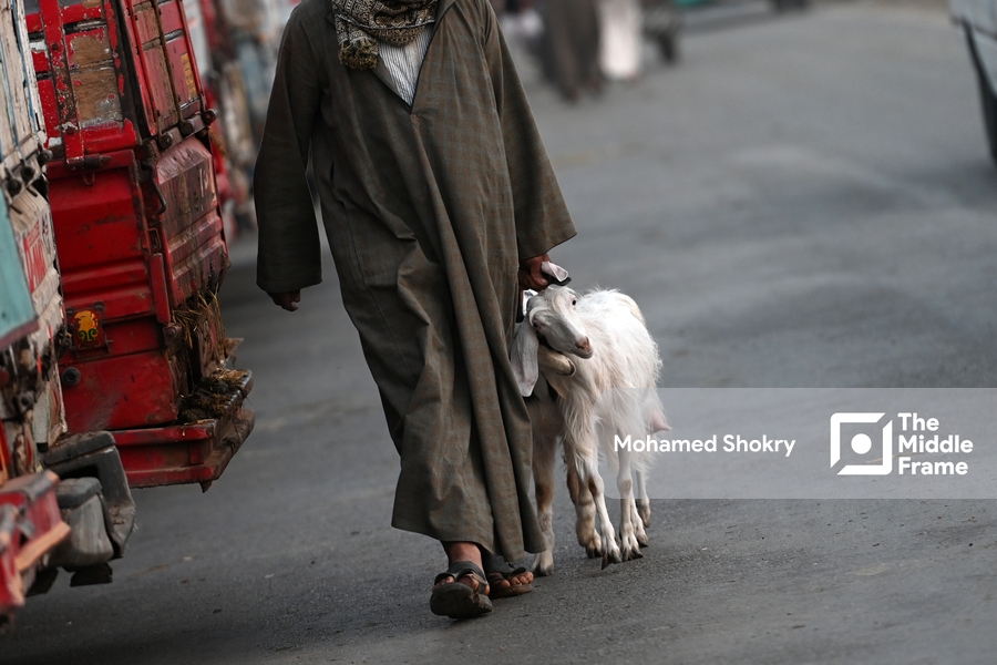 A man moves, holding a small goat in his hand.