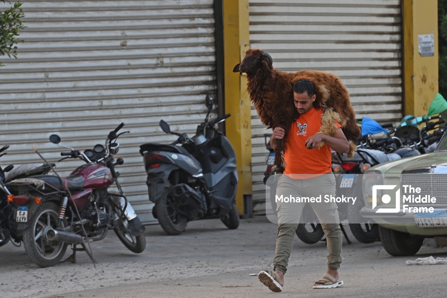 A man walking down the street carrying a sheep