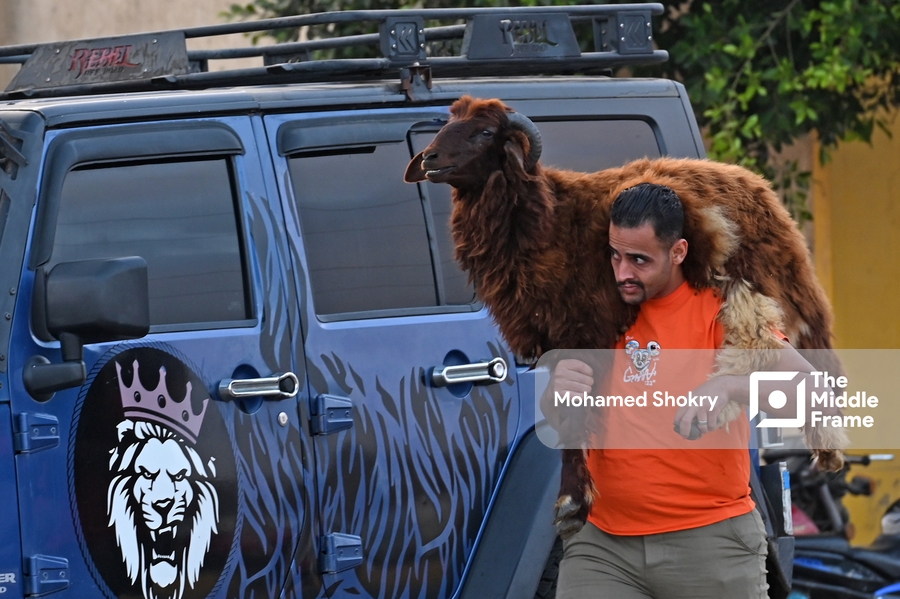A man walking down the street carrying a sheep