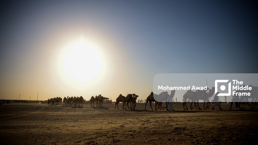 A Bedouin man leads a caravan of camels through a sandstorm in the Al Dhafra desert, UAE.
