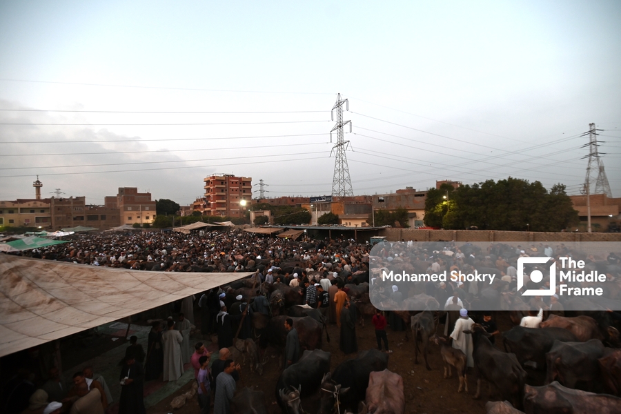 An aerial view of crowds of people at the Badia Livestock Market in Egypt