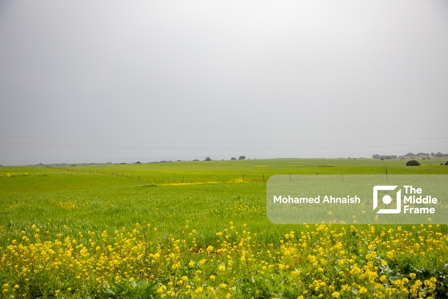 Batah Area, Green Mountain, Eastern Libya