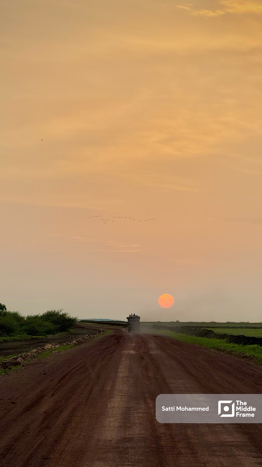 A dirt road with trees and ushes on both sides