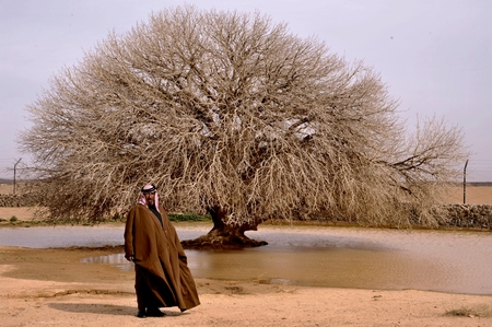 a man standing in front of a tree