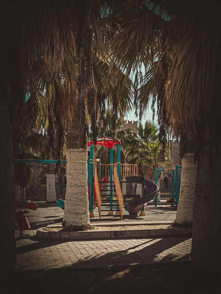 Palm Swing Refuge