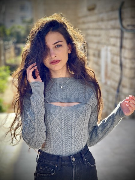 Palestinian model