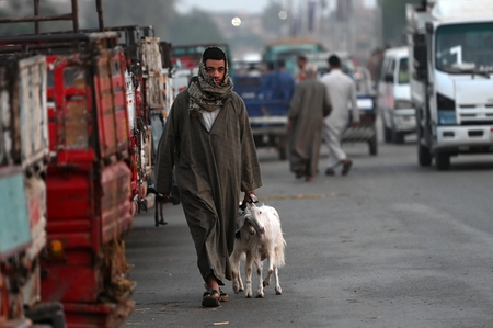 A man moves, holding a small goat in his hand.