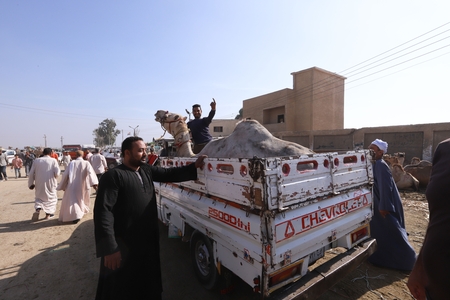 The Birqash Camel Market in Egypt