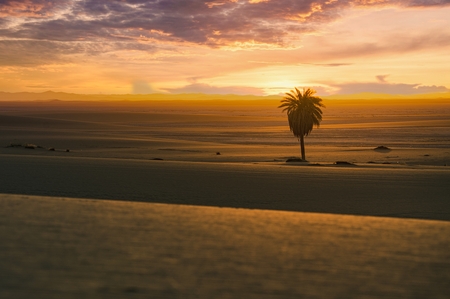 A sunset in the sahara desert
