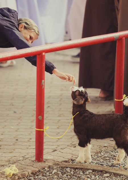 a small dog is being fed by a woman