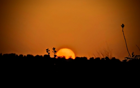 Sunset.