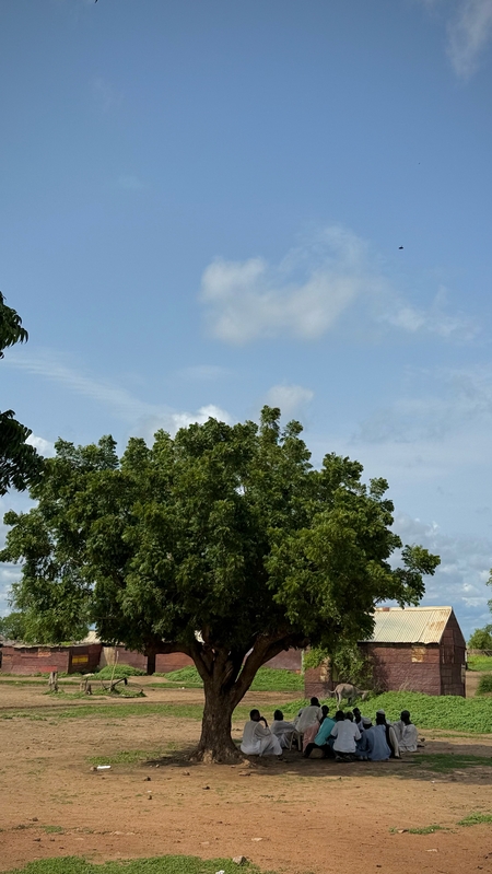 A group of Sudanese men sitting beneath a large tree