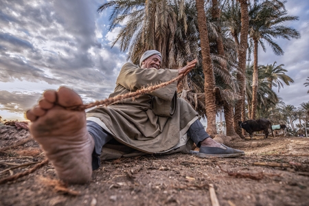 Rope making • The Middle Frame • Arab Stock Photos and Images