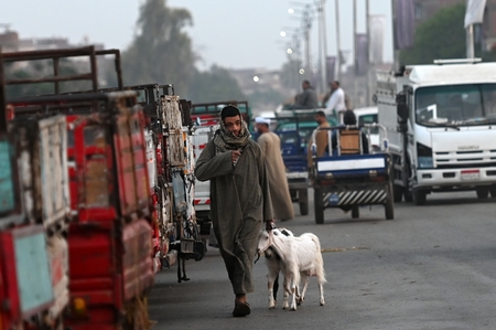 A man moves, holding a small goat in his hand.