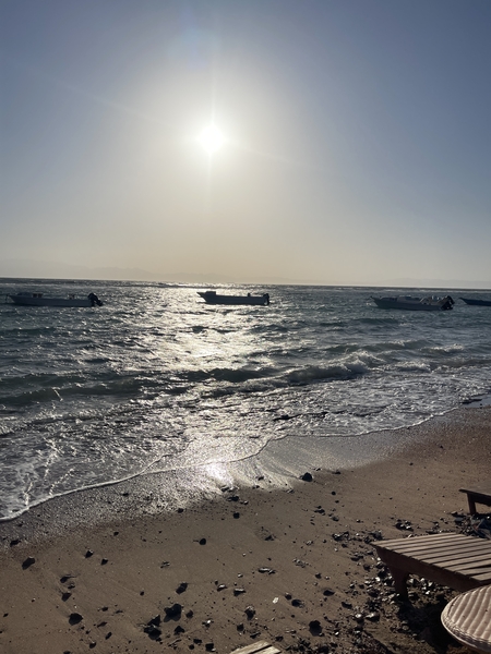 The seashore.