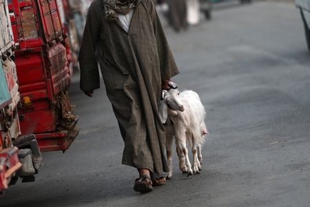 A man moves, holding a small goat in his hand.