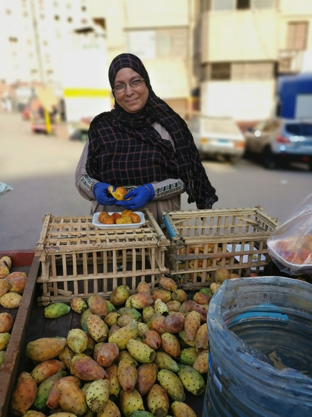 a woman selling prickly pears in Egypt