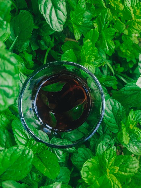 Tea with mint