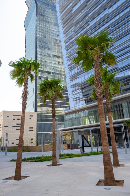 King Abdullah Financial District (KAFD) in Riyadh • The Middle Frame ...