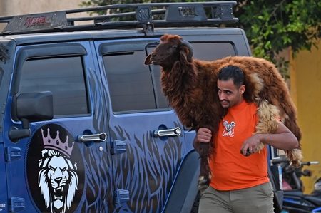 A man walking down the street carrying a sheep