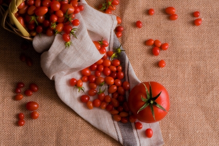 tomatoes on a cloth