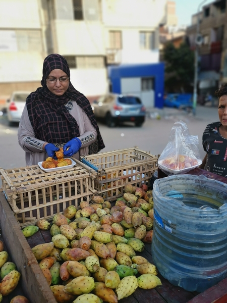 a woman selling prickly pears in Egypt