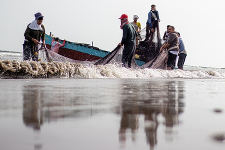 Fishermen from Kafr Elsheikh-Egypt.